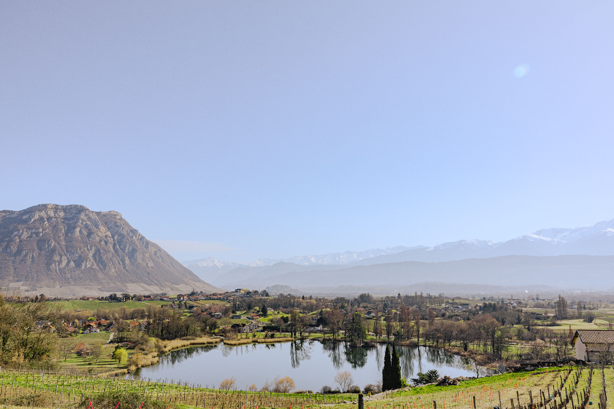 Vignes-savoie